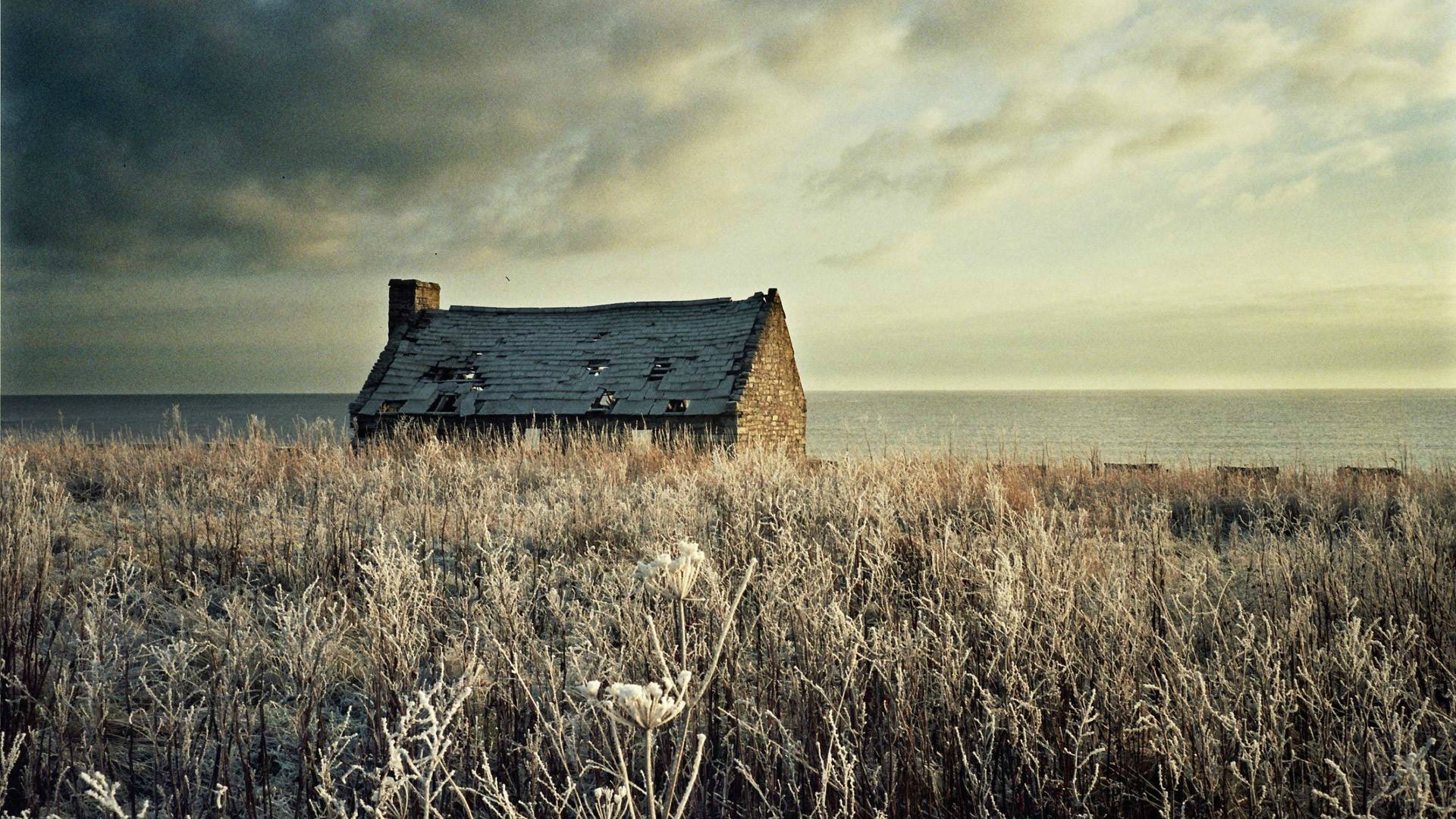 1920 x 1080 HD Wallpapers 1510